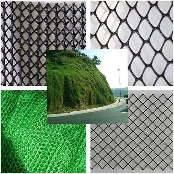 植生毯如何與周圍景觀協(xié)調