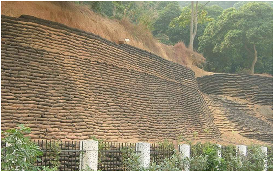 植生毯如何與周圍景觀協(xié)調