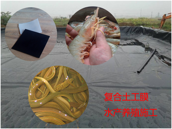土工膜原材料控制及采購要點(diǎn)