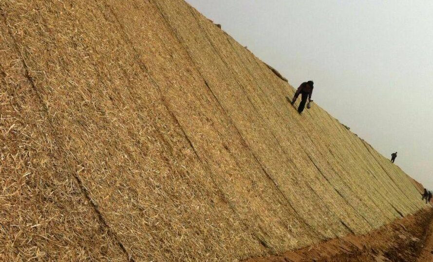 timg (3).jpg timg (3).jpg