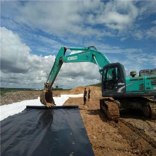 復合土工膜服役20年滲透系數逐年增大防滲性態依舊良好